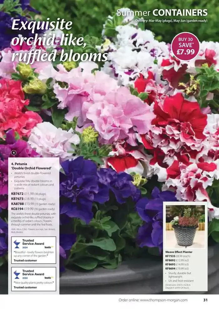 The Spring Catalogue from 20 March to 31 May 2025 - Catalogue Page 31