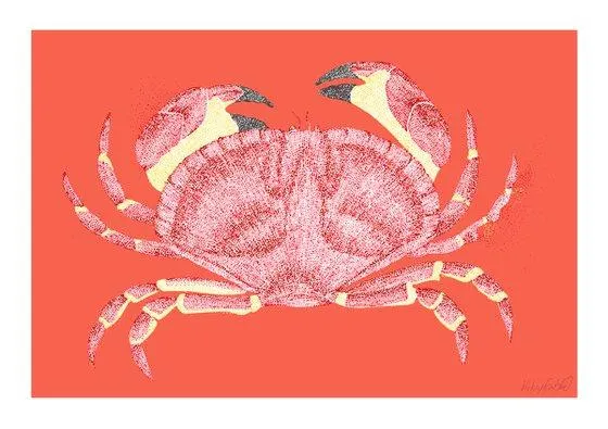 Crabbing - Crap Stippling Illustration (2017)
