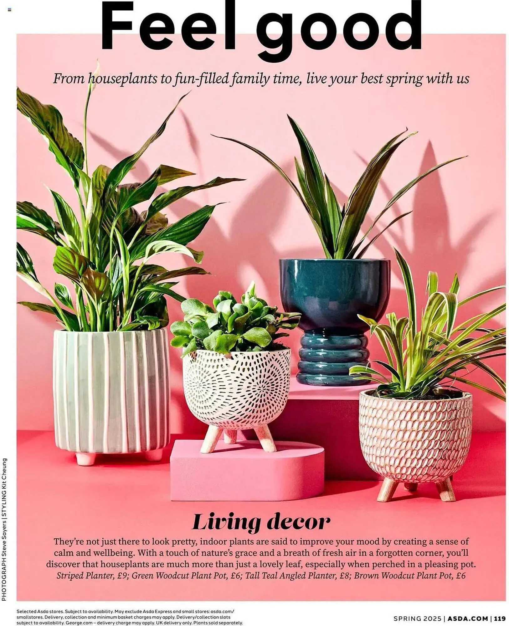 Asda leaflet from 1 April to 31 July 2025 - Catalogue Page 119