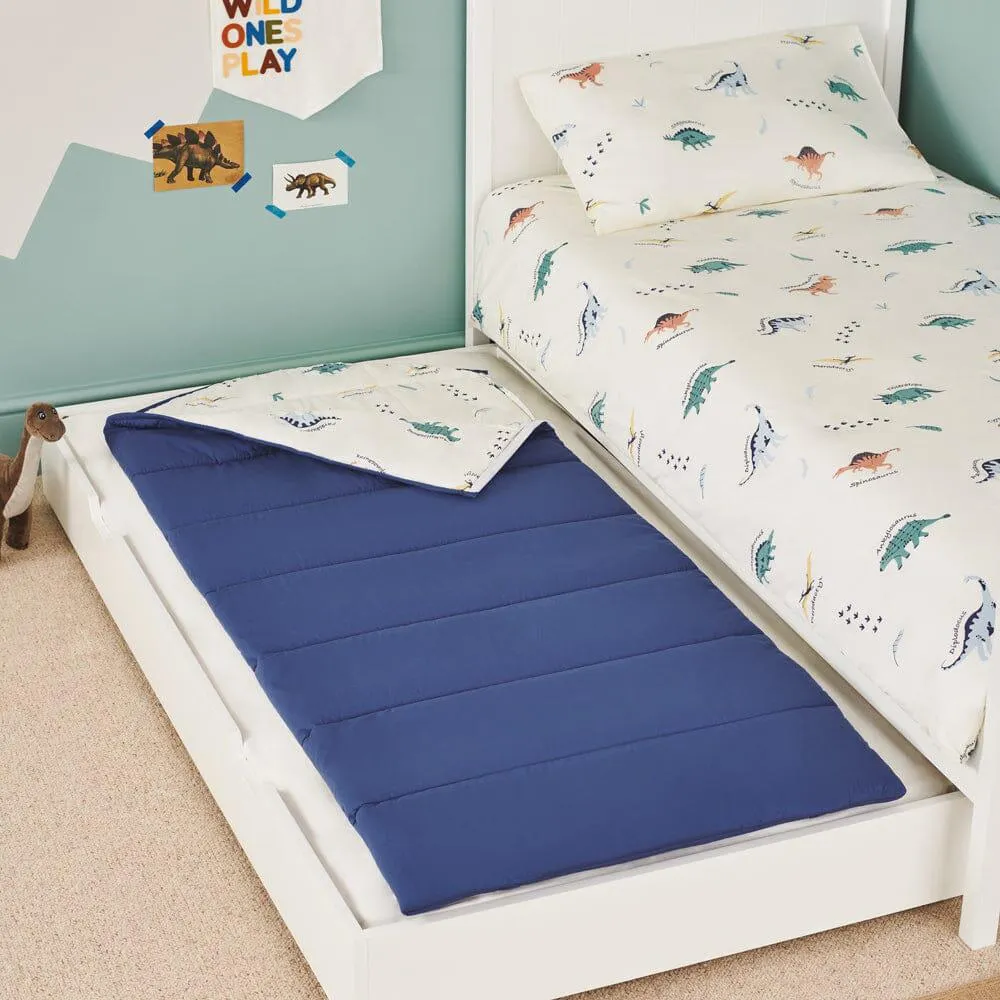 Children's Sleeping Bag, Dinosaur Explorer