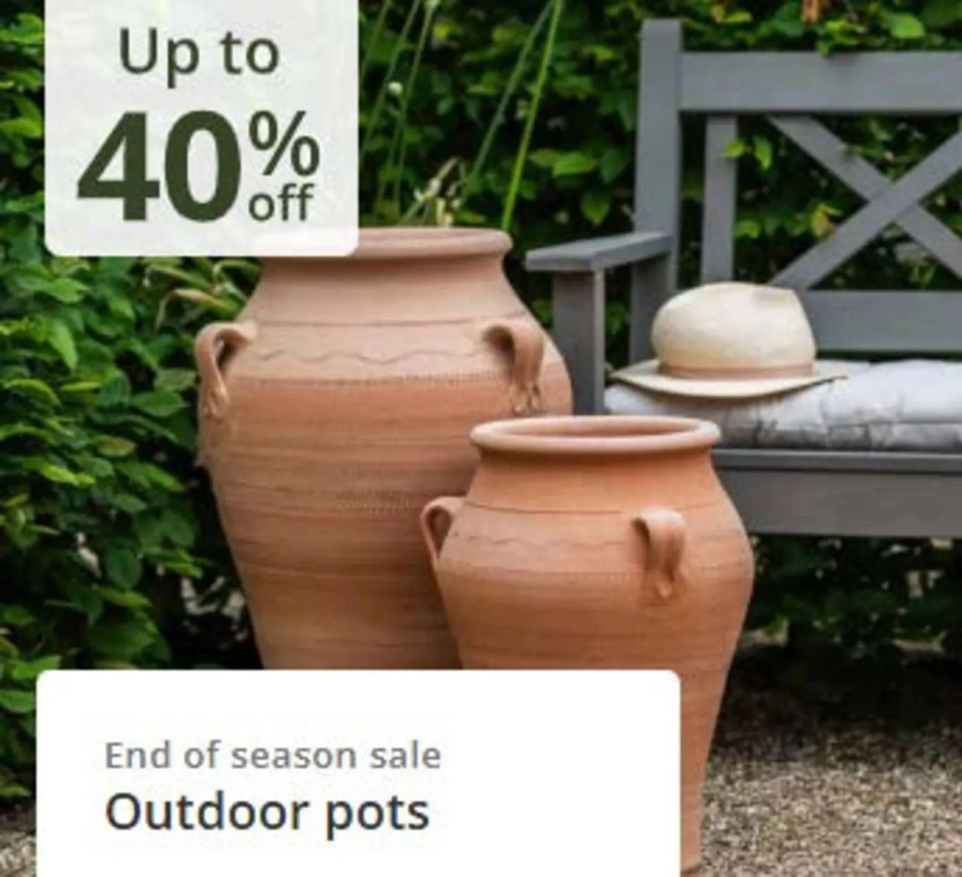 Crocus leaflet from 21 October to 8 November 2025 - Catalogue Page 5