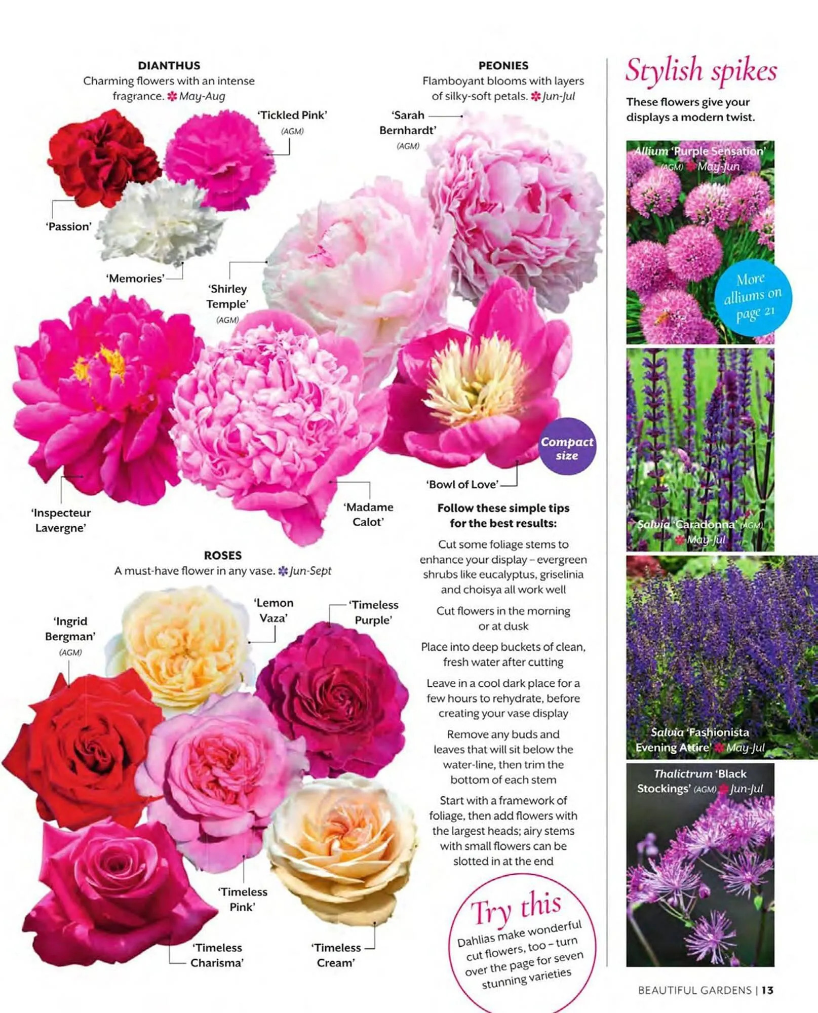 Squires Garden Centres leaflet from 1 March to 31 May 2024 - Catalogue Page 13