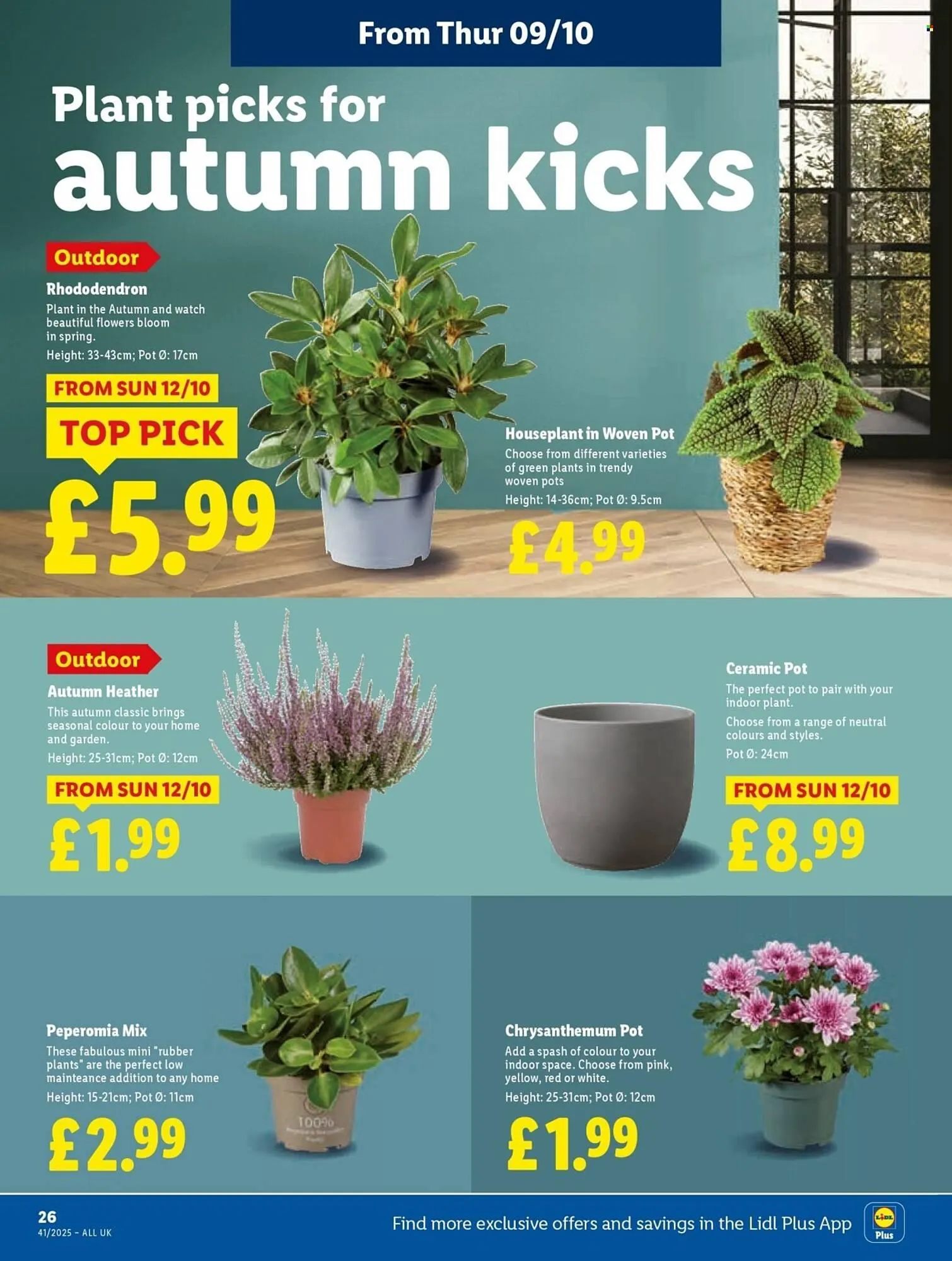 Lidl leaflet from 9 October to 15 October 2025 - Catalogue Page 26