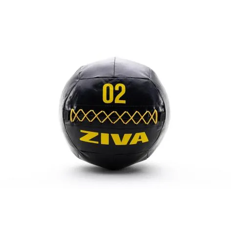 Ziva 2Kg Performance Wall Ball