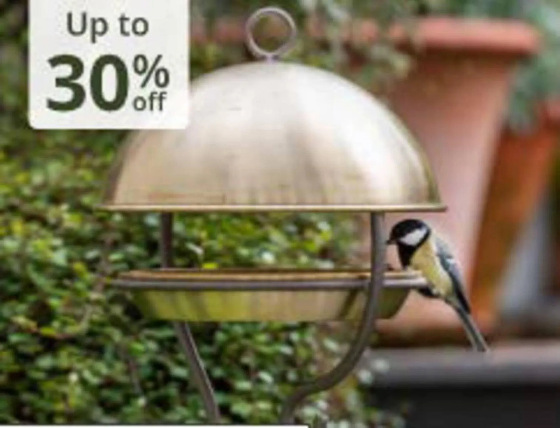 Crocus leaflet from 21 October to 10 November 2025 - Catalogue Page 6