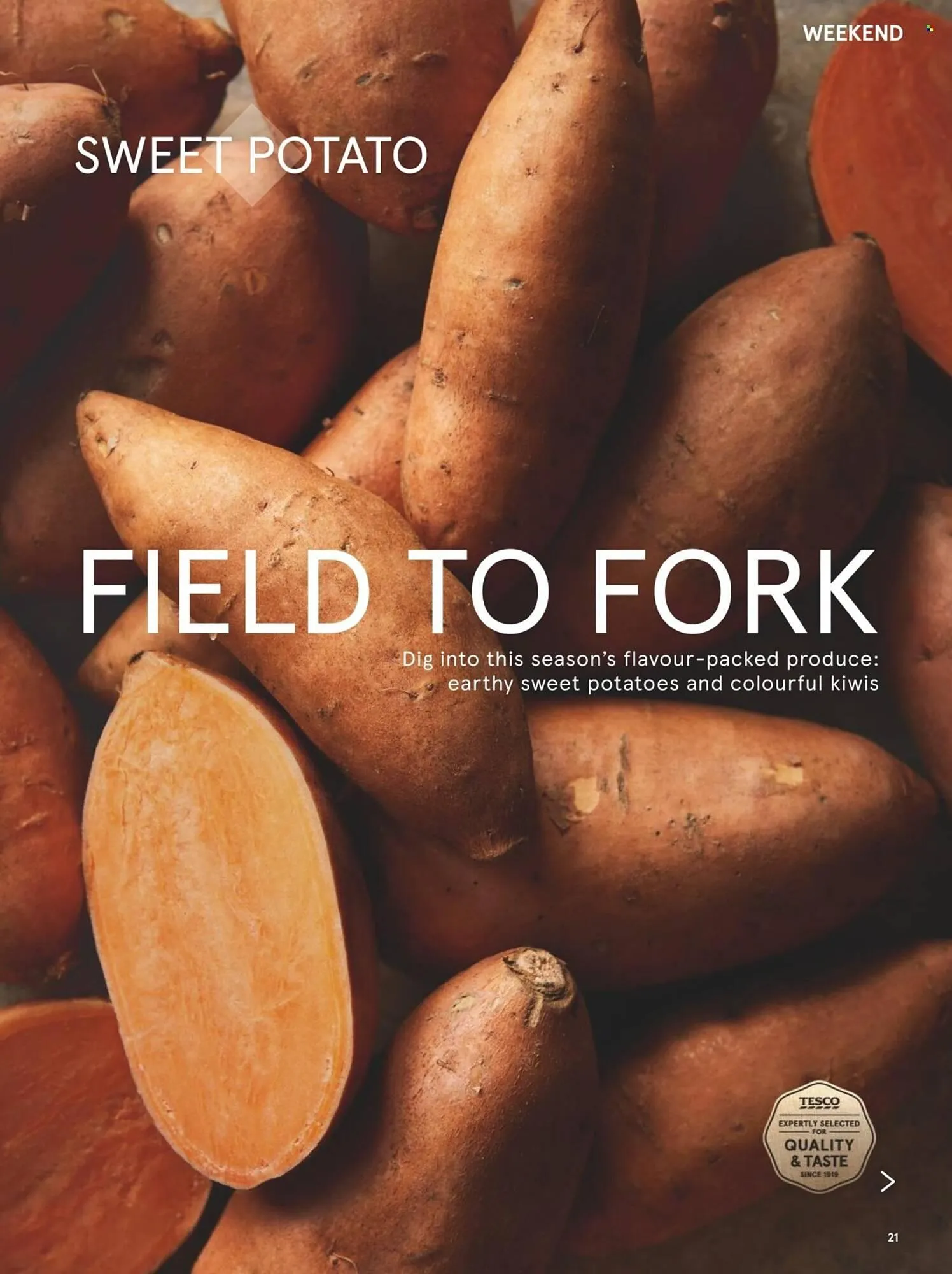 Tesco leaflet from 1 January to 31 January 2026 - Catalogue Page 21