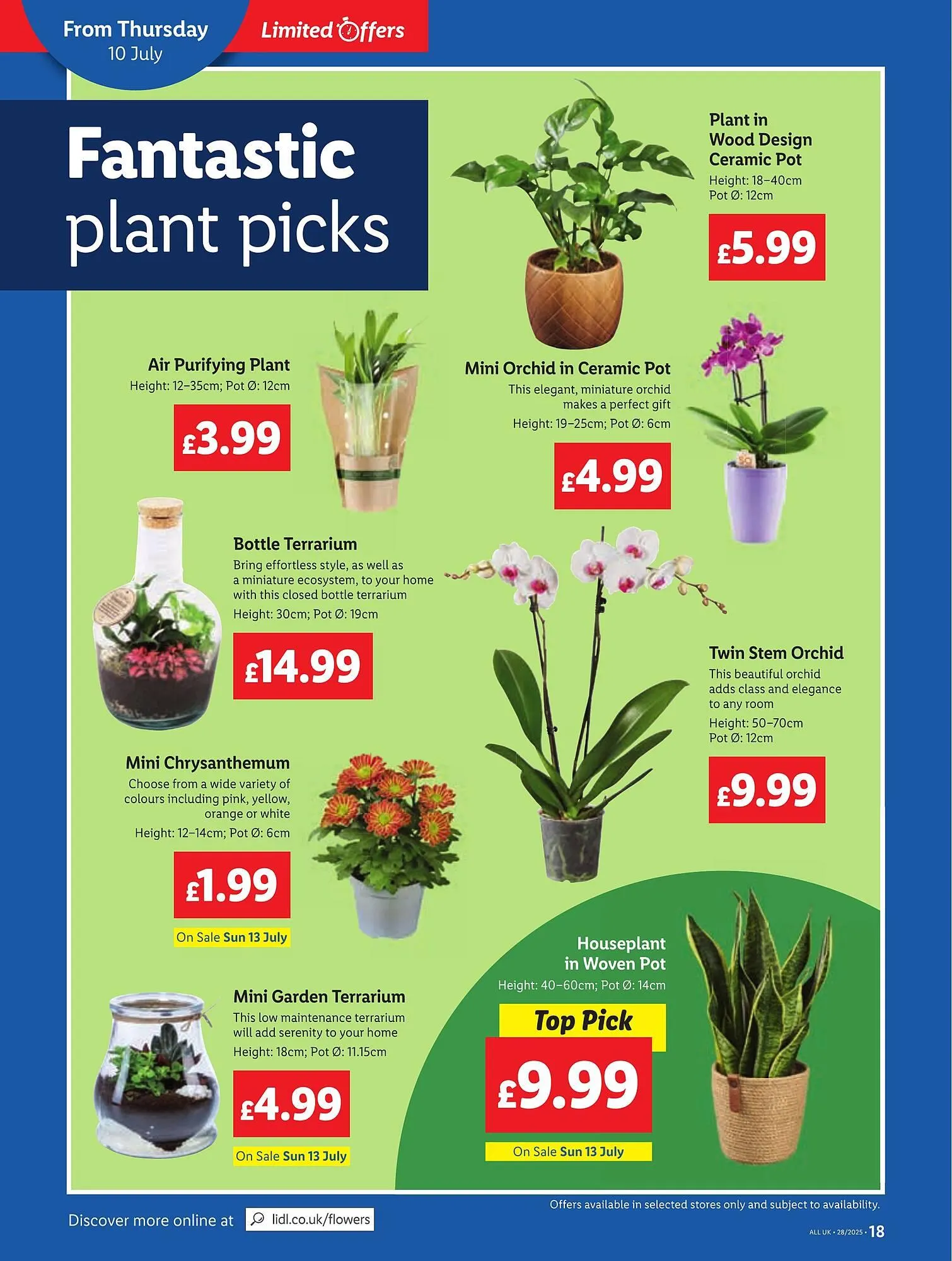 Lidl leaflet from 10 July to 16 July 2025 - Catalogue Page 18