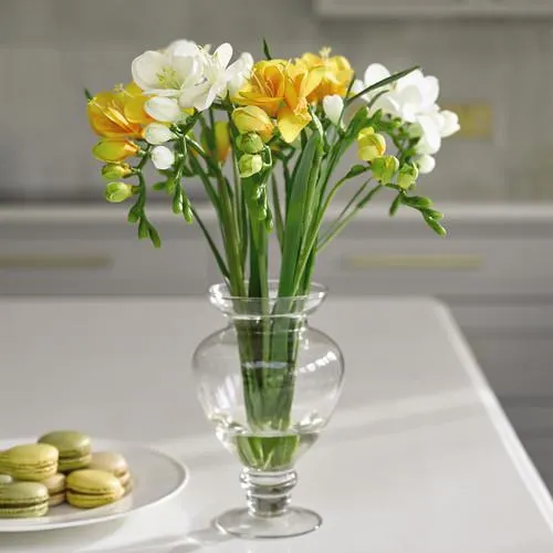 Golden Freesia Arrangement