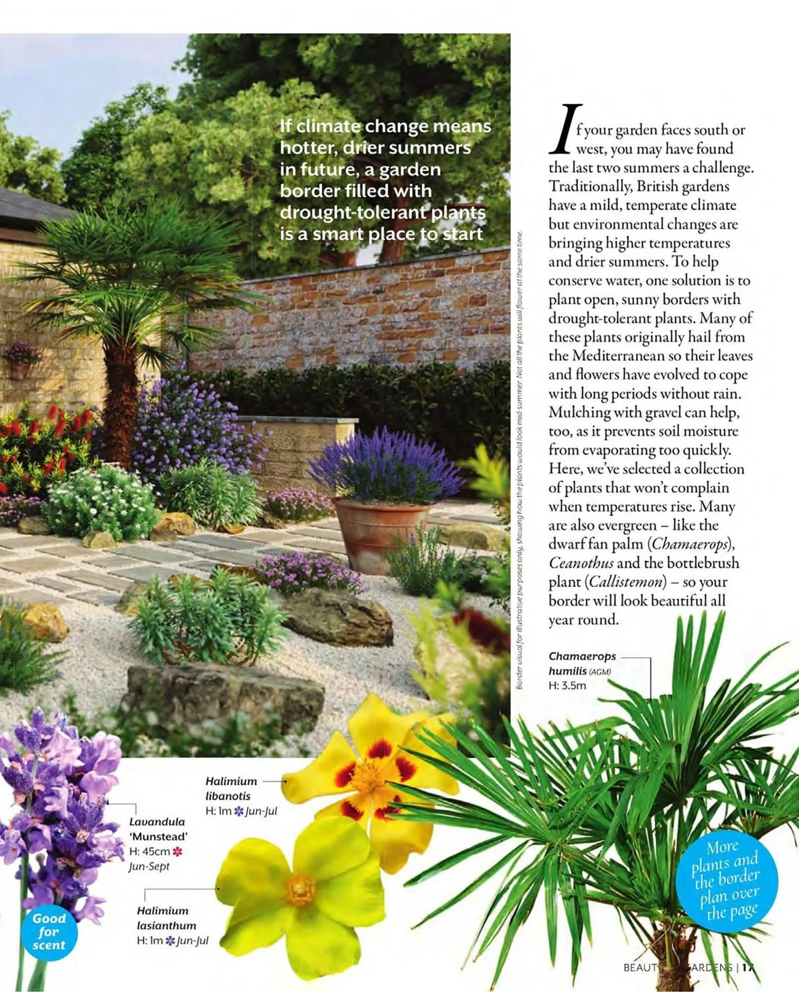 Squires Garden Centres leaflet from 1 March to 31 May 2024 - Catalogue Page 17