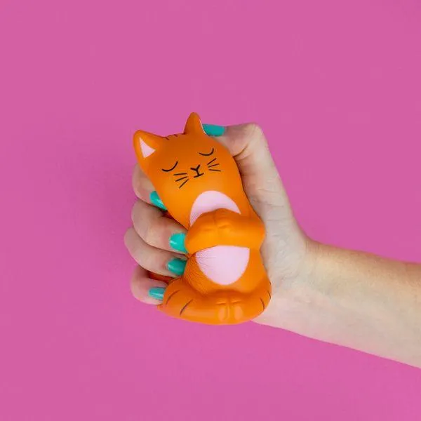 Meowditation Stress Toy