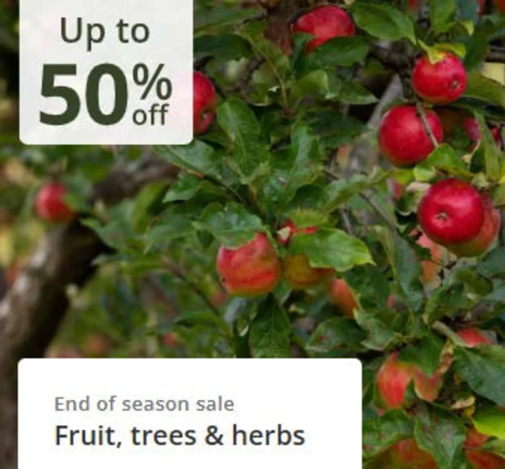 Crocus leaflet from 21 October to 8 November 2025 - Catalogue Page 3