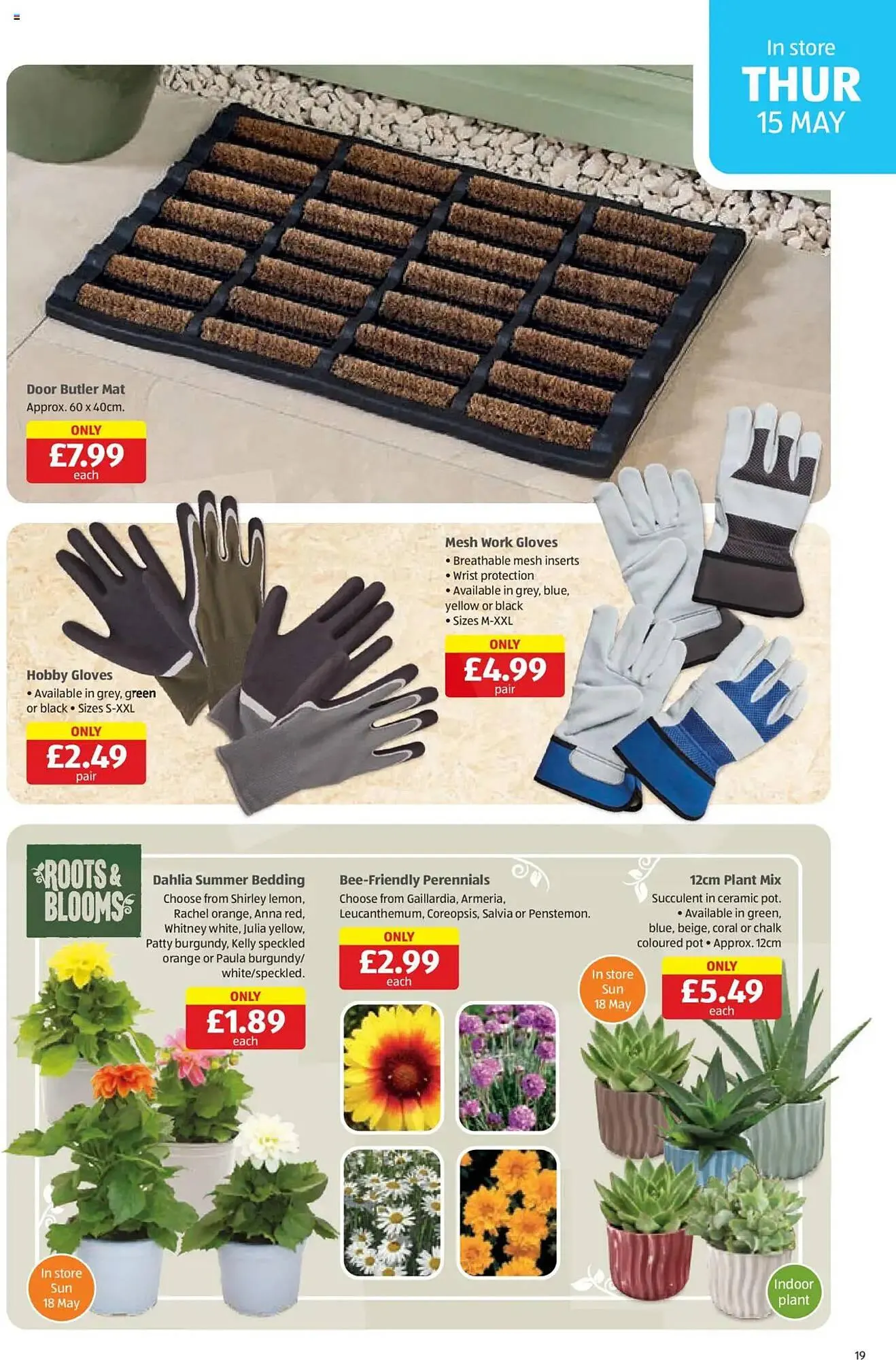 Aldi leaflet from 15 May to 18 May 2025 - Catalogue Page 19