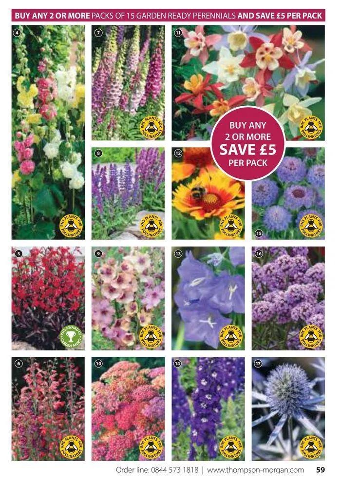 Spring Sale Catalogue from 2 May to 31 May 2024 - Catalogue Page 59