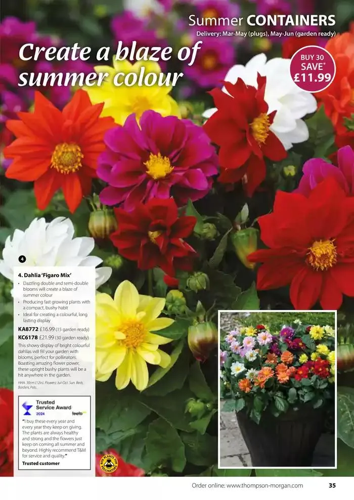 The Spring Catalogue from 20 March to 31 May 2025 - Catalogue Page 35