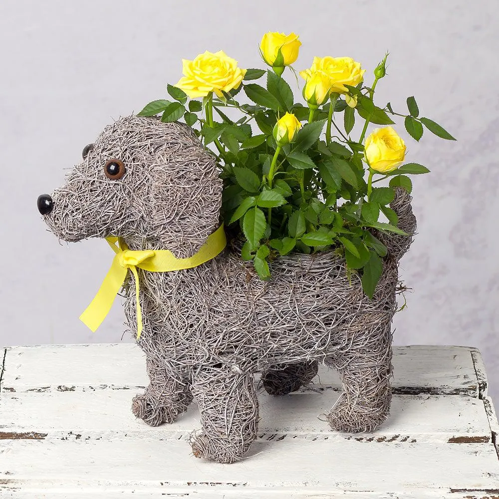 Dog Planter