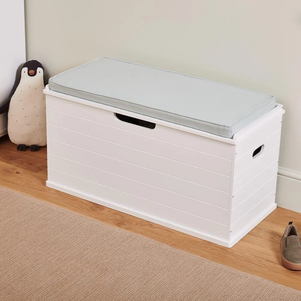 Large Classic Toy Box & Cushion, Mint