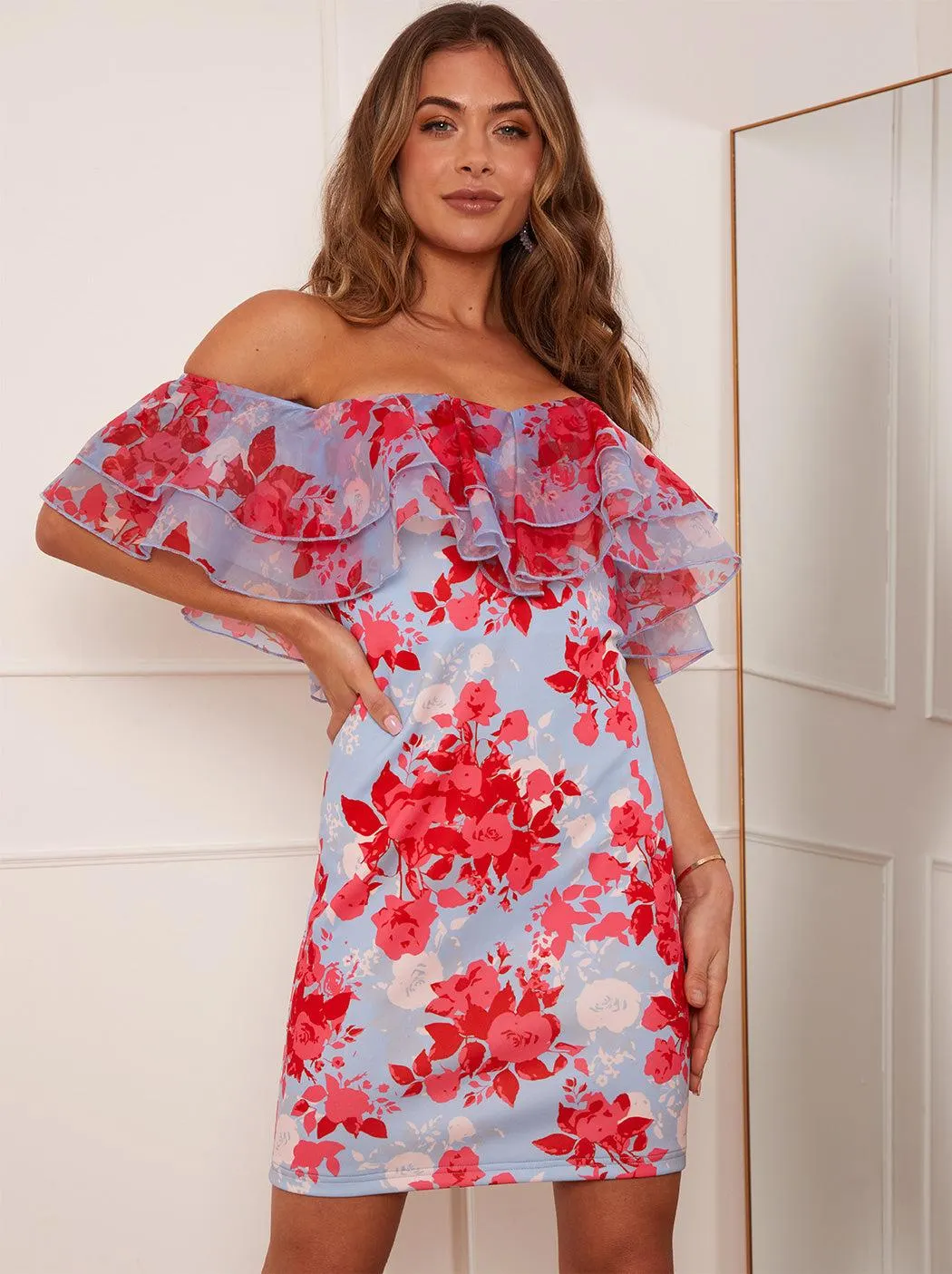 Organza Ruffle Floral Bodycon Mini Dress in Blue