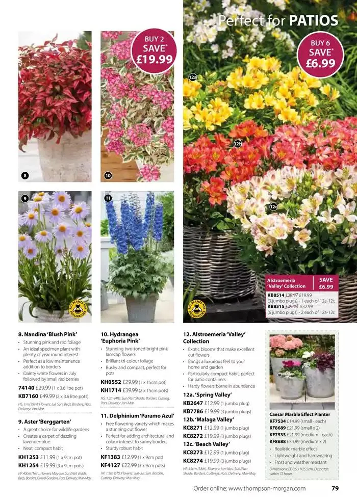 The Spring Catalogue from 20 March to 31 May 2025 - Catalogue Page 79