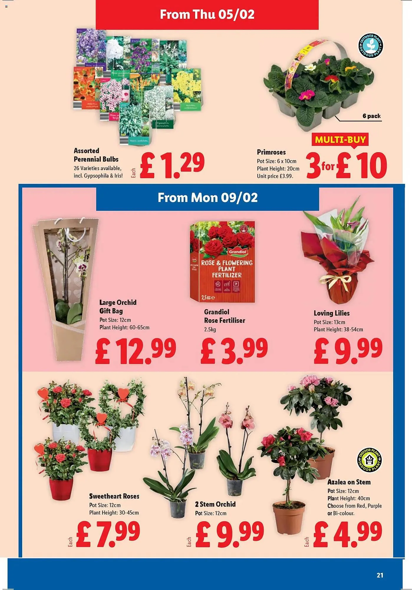 Lidl leaflet from 5 February to 12 February 2026 - Catalogue Page 22