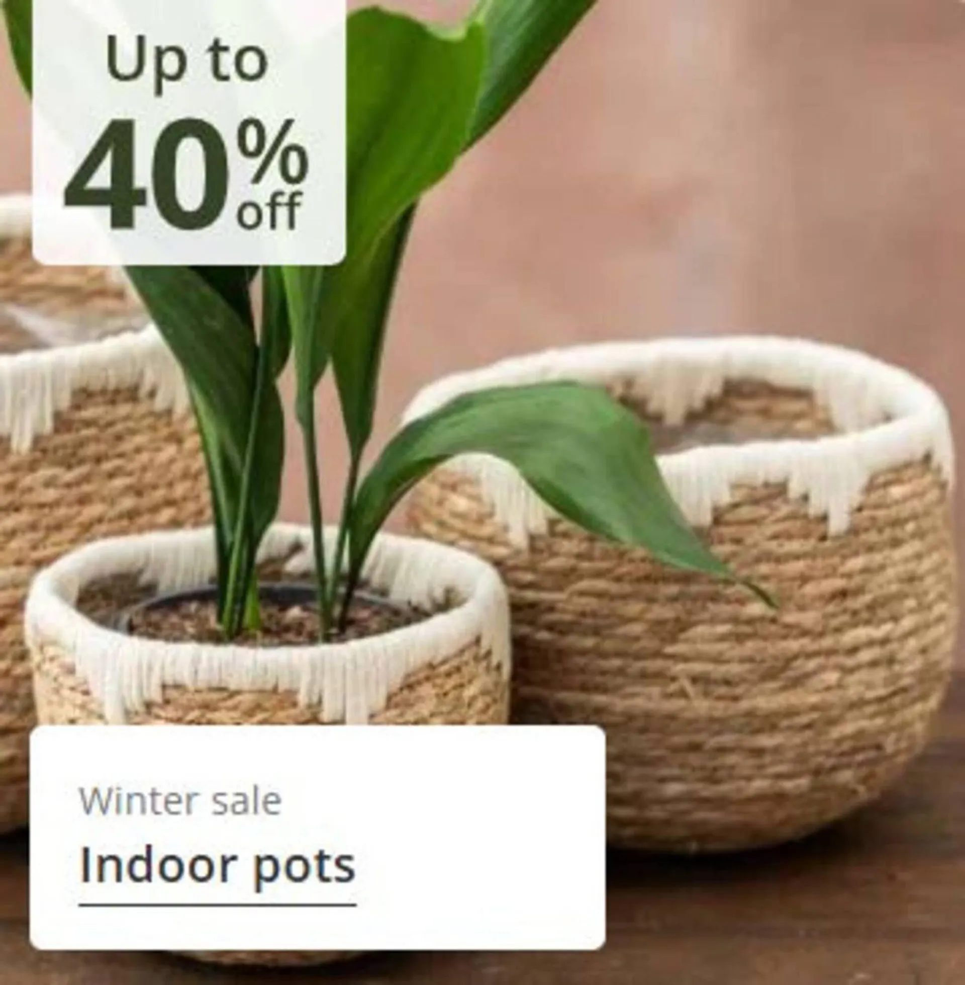 Crocus leaflet from 24 December to 8 January 2026 - Catalogue Page 8