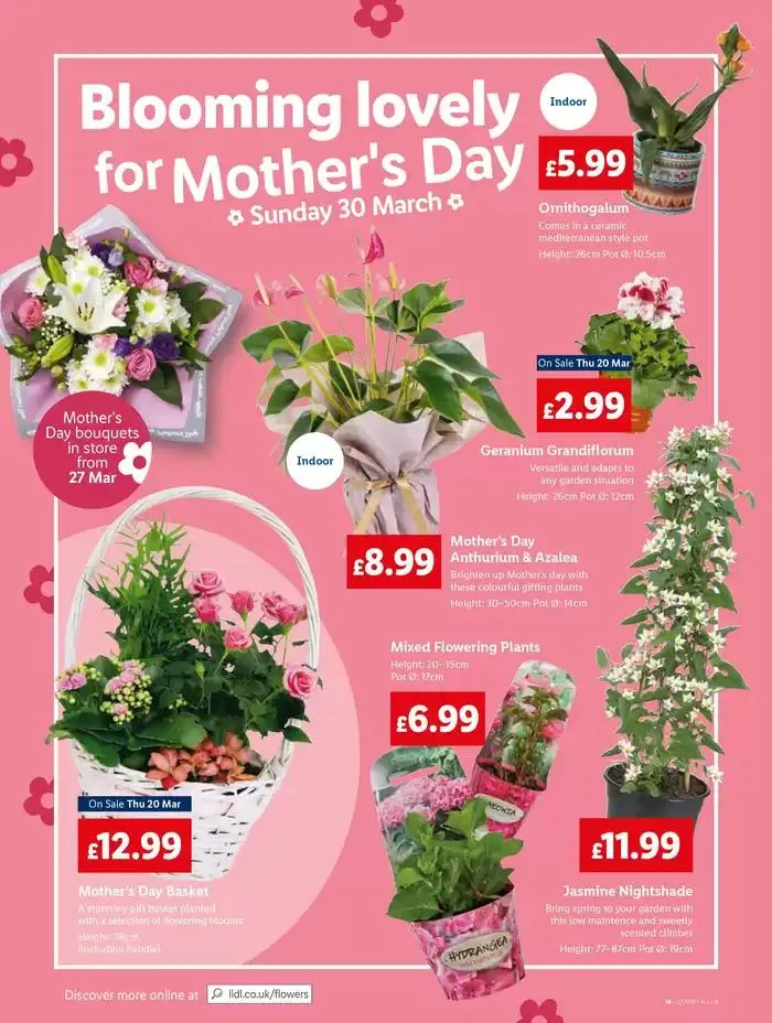 Discounts and promotions from 20 March to 26 March 2025 - Catalogue Page 20