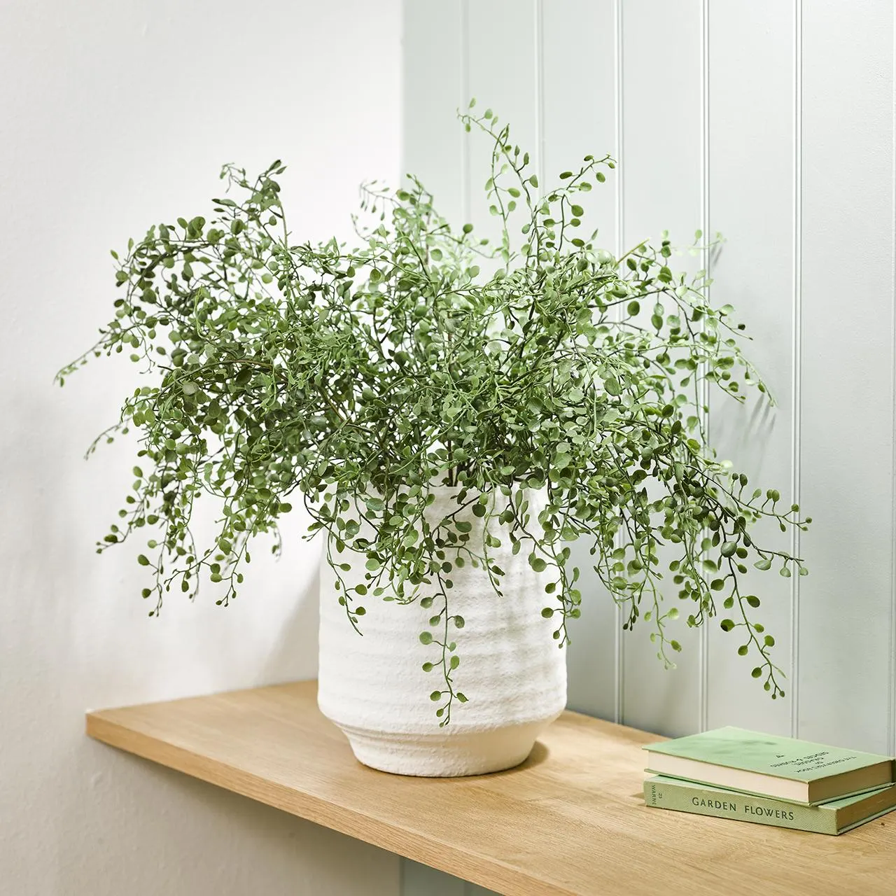 Fresh Fern Collection