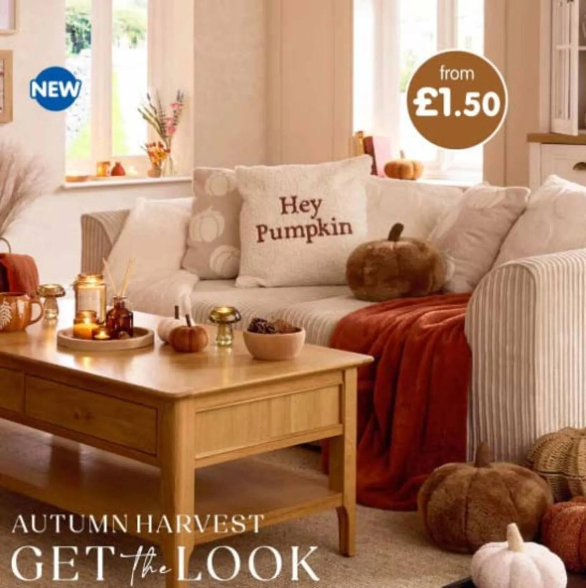 B&M Stores leaflet - 1