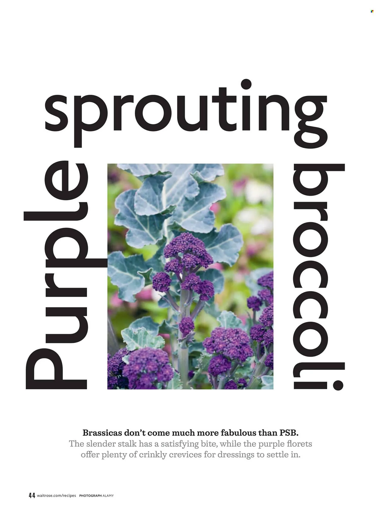 Waitrose catalogue from 1 April to 30 April 2026 - Catalogue Page 44