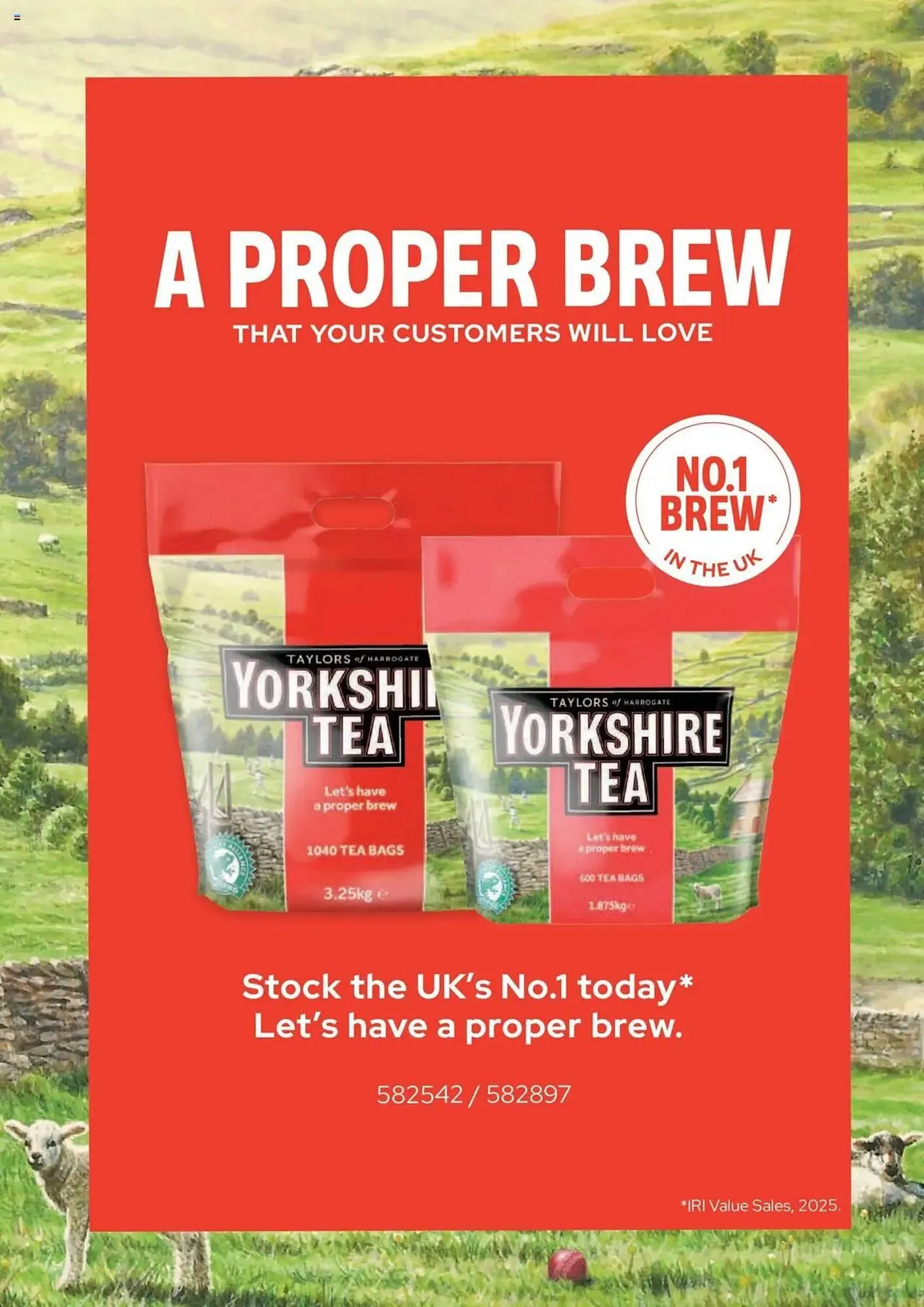 Bestway leaflet from 10 October to 6 November 2025 - Catalogue Page 13