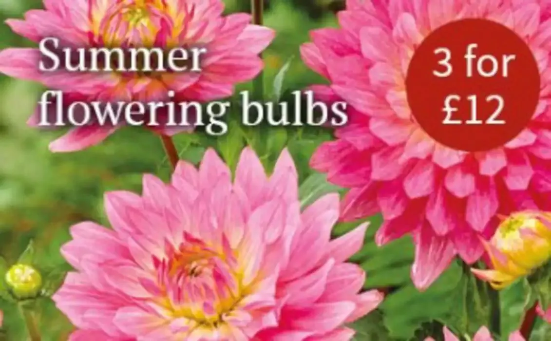 20% Off from 6 March to 20 March 2025 - Catalogue Page 3