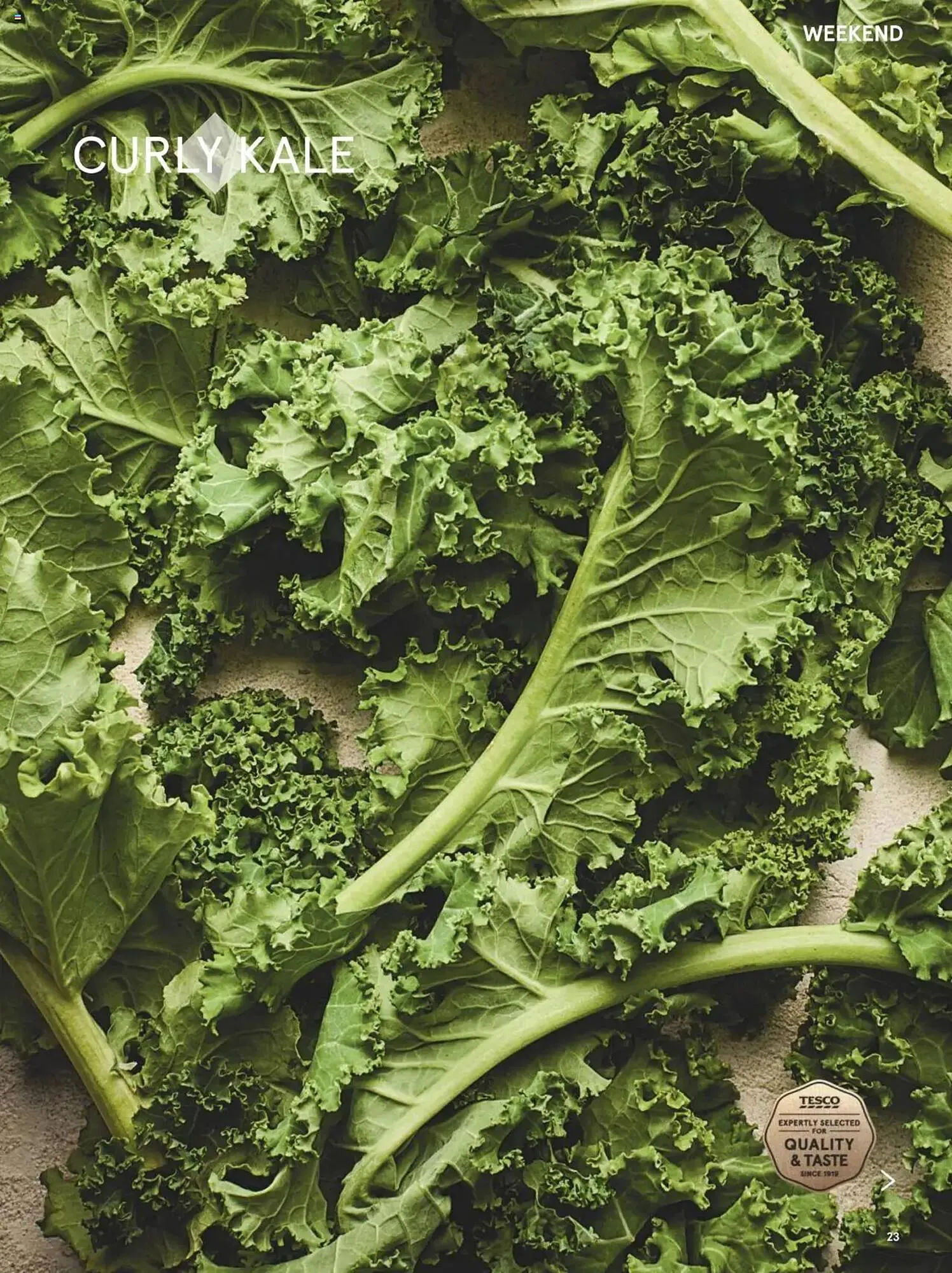 Tesco leaflet from 1 March to 31 March 2025 - Catalogue Page 23