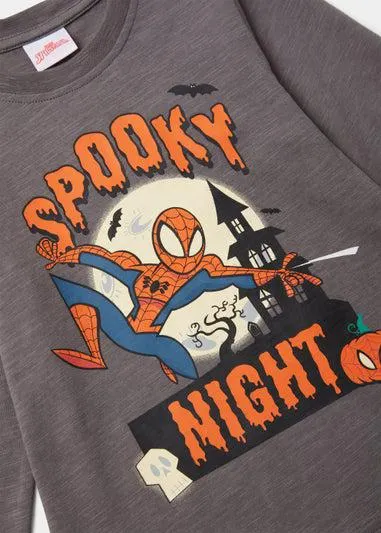 Kids Charcoal Halloween Spider-Man T-Shirt (3-8yrs) - Age 4 Years