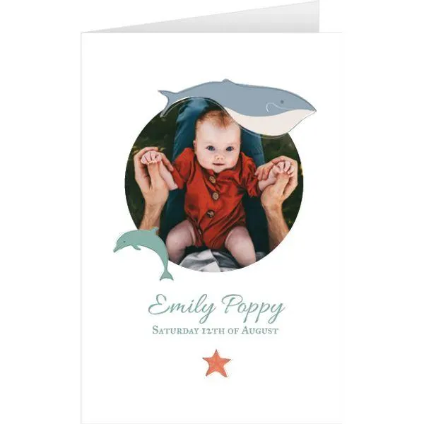 Nursery illustration