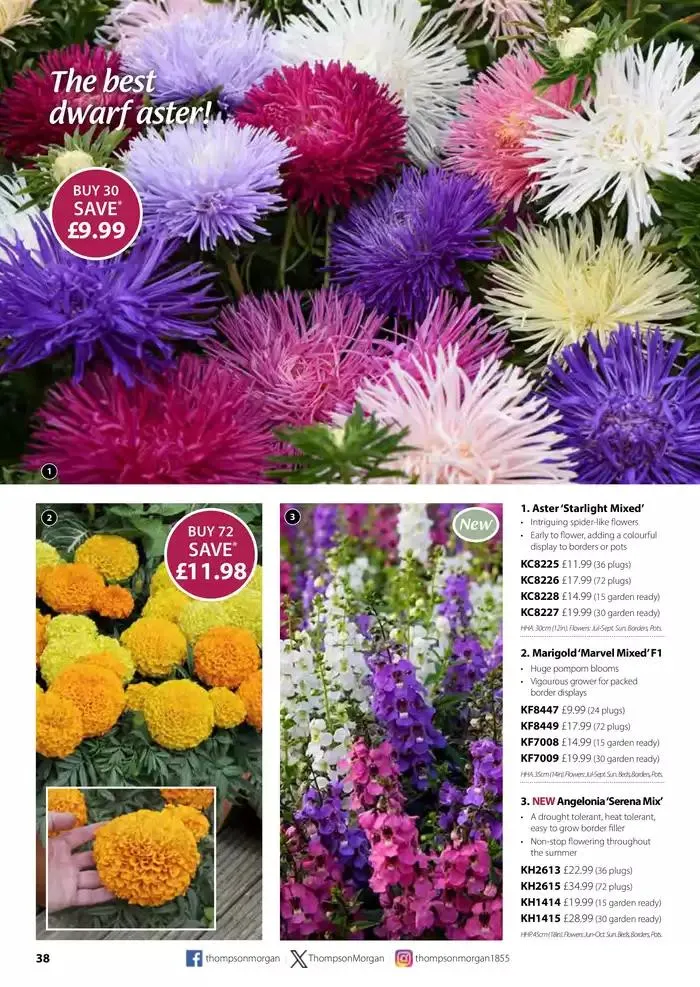 The Spring Catalogue from 20 March to 31 May 2025 - Catalogue Page 38