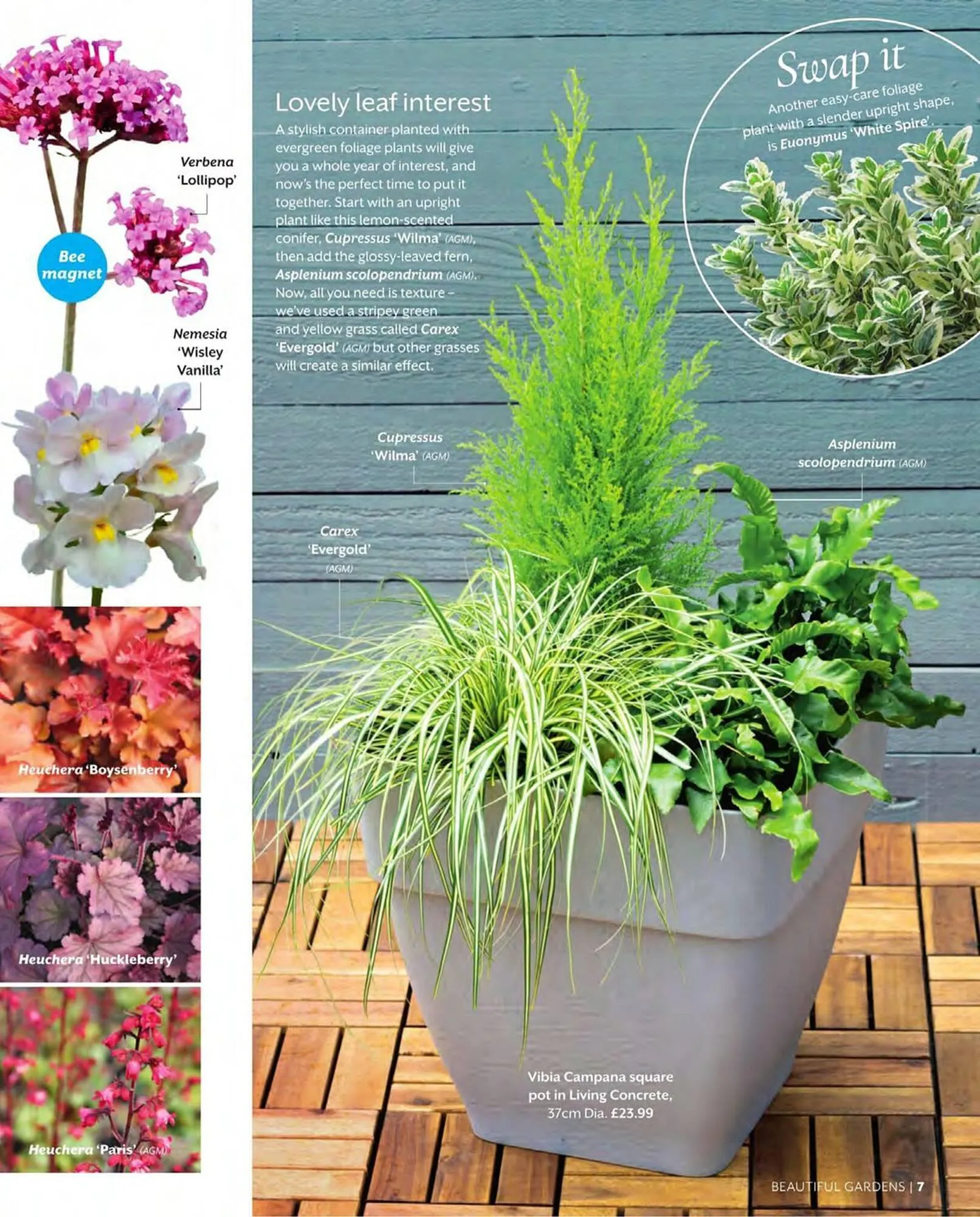 Squires Garden Centres leaflet from 1 March to 31 May 2024 - Catalogue Page 7