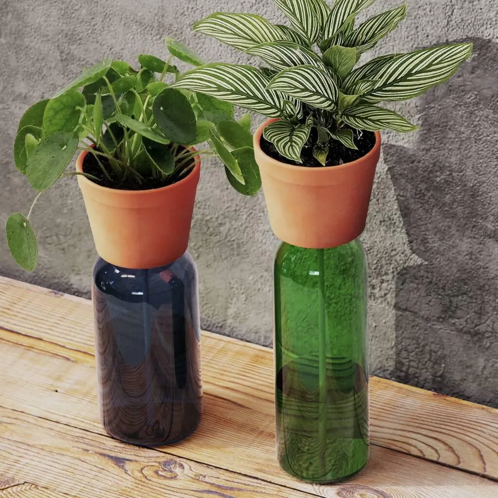 Self Watering Teracotta Bottle Planter