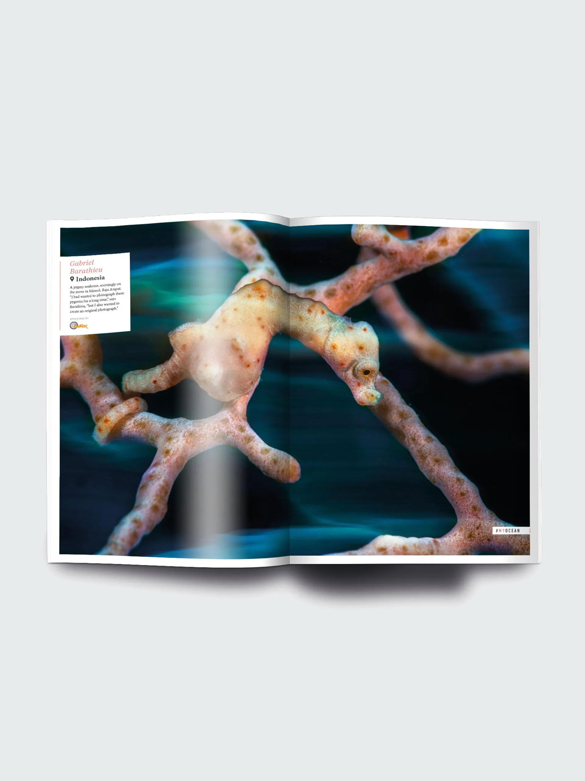 Oceanographic, Issue 15