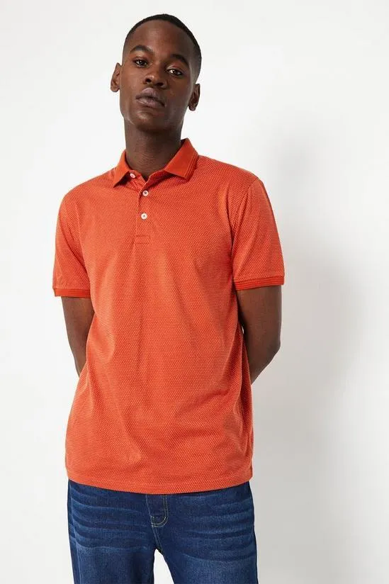 Smart Birdseye Polo