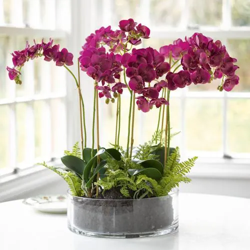 Antheia Orchid Centrepiece