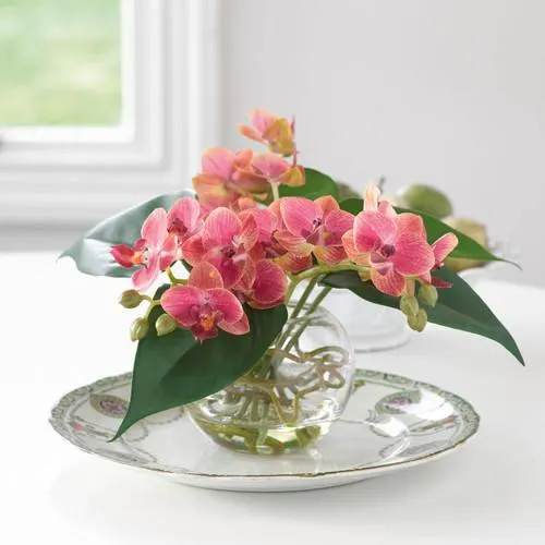 Petite Pink Orchid Centrepiece