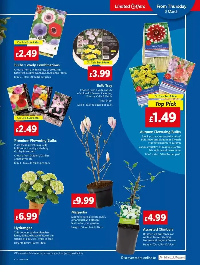 Current bargains and offers from 6 March to 12 March 2025 - Catalogue Page 19