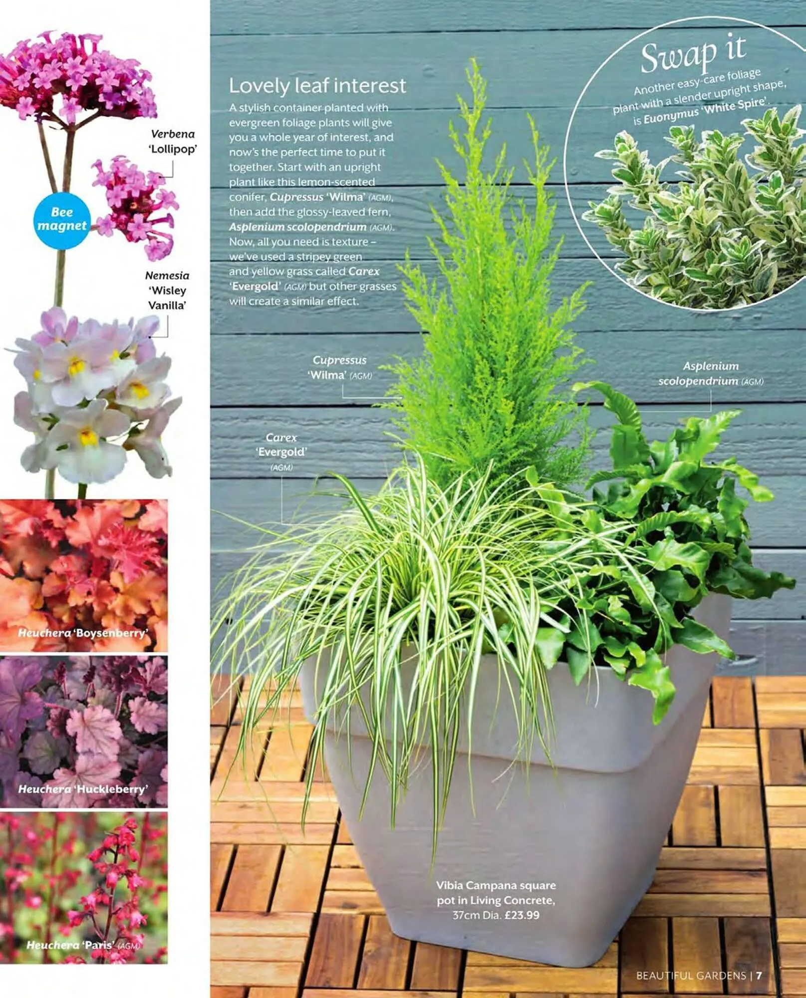 Squires Garden Centres leaflet from 1 March to 31 May 2024 - Catalogue Page 7