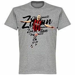 Ibrahimovic Script KIDS T-shirt - Grey