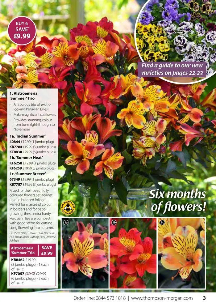 Autumn Catalogue from 1 September to 30 November 2024 - Catalogue Page 3