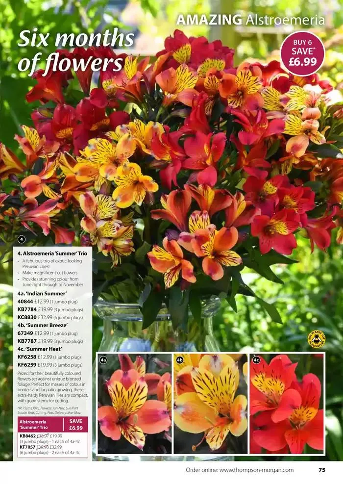 The Spring Catalogue from 20 March to 31 May 2025 - Catalogue Page 75
