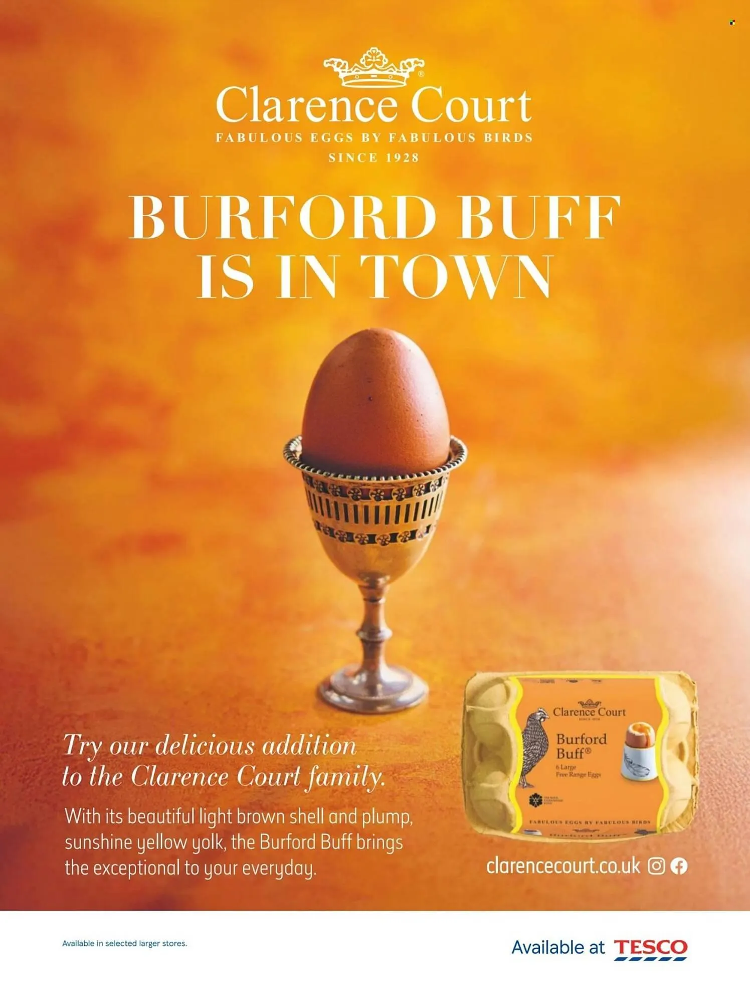 Tesco leaflet from 1 March to 31 March 2026 - Catalogue Page 17