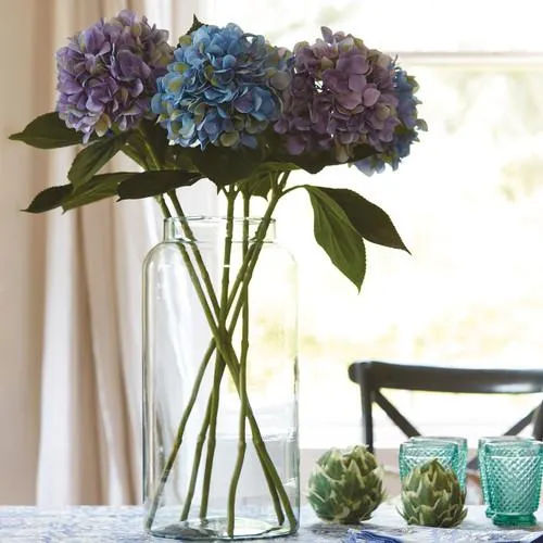 Hydrangea Collection