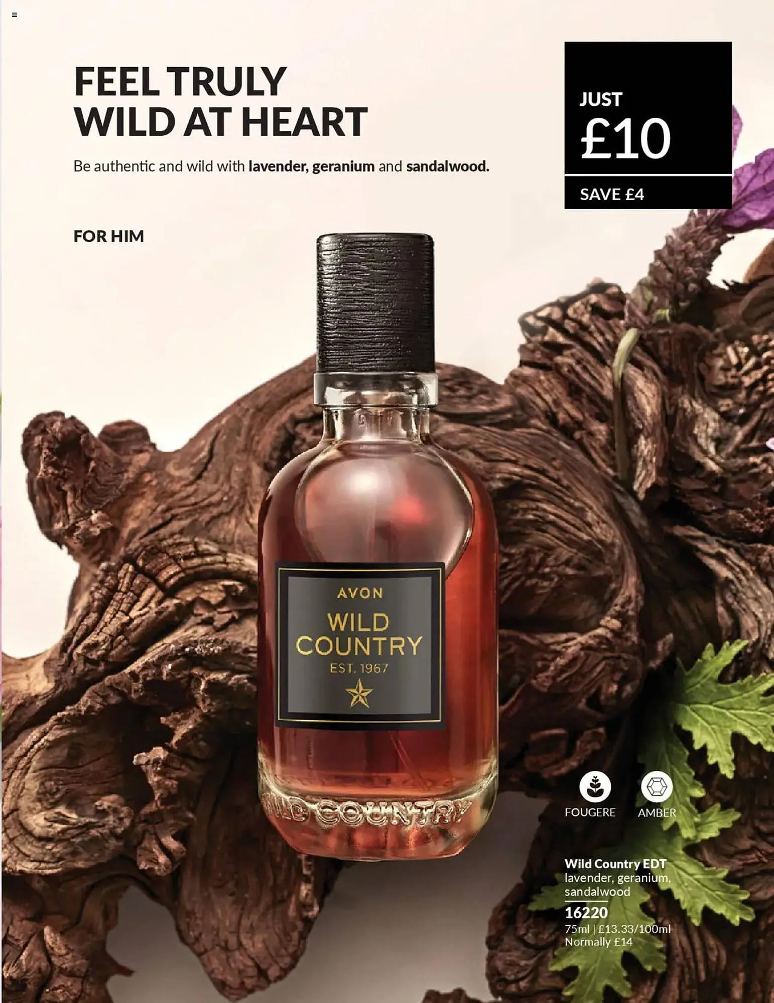 Avon catalogue from 1 September to 1 October 2025 - Catalogue Page 100