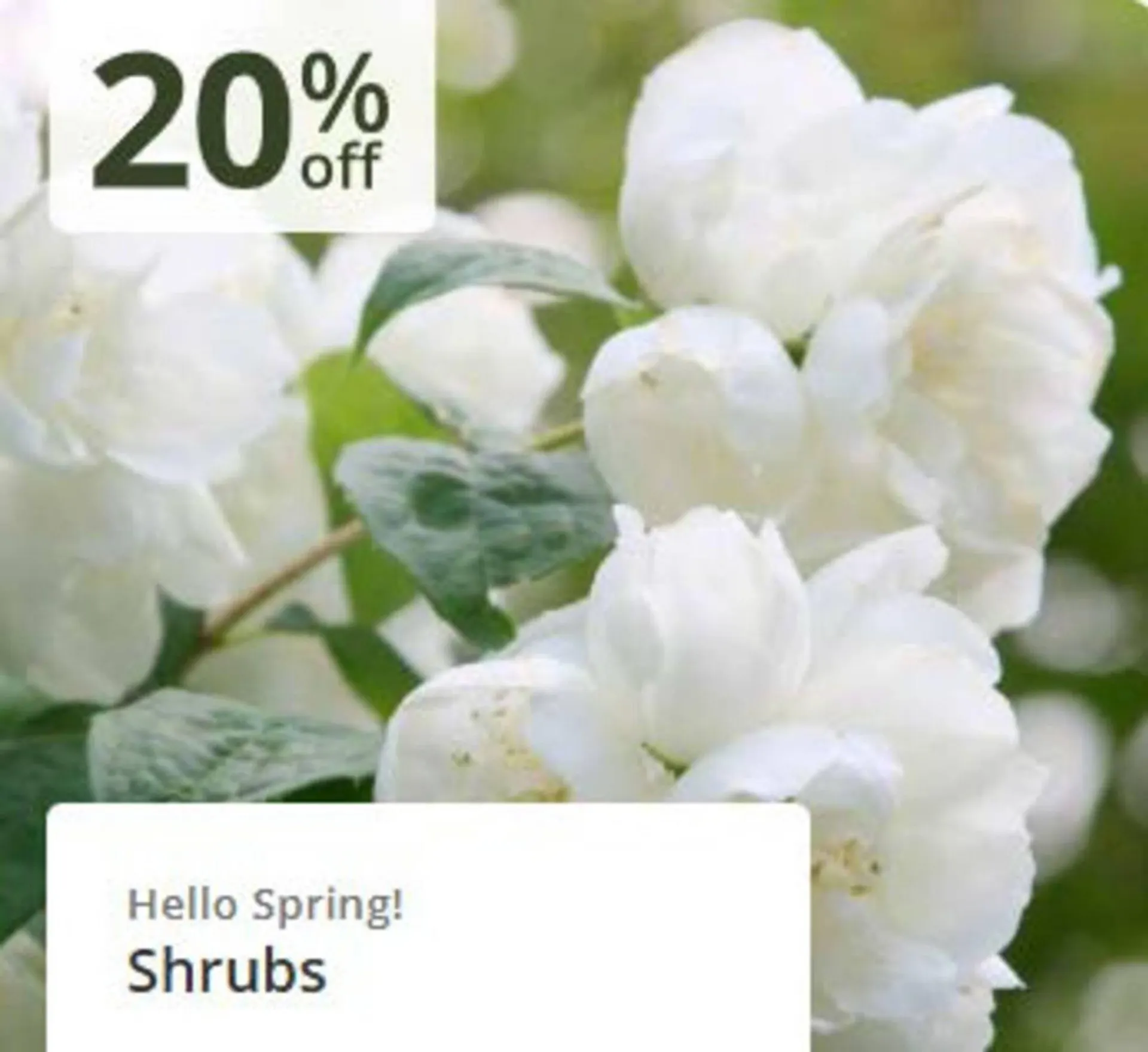 Crocus leaflet from 3 April to 20 April 2026 - Catalogue Page 2