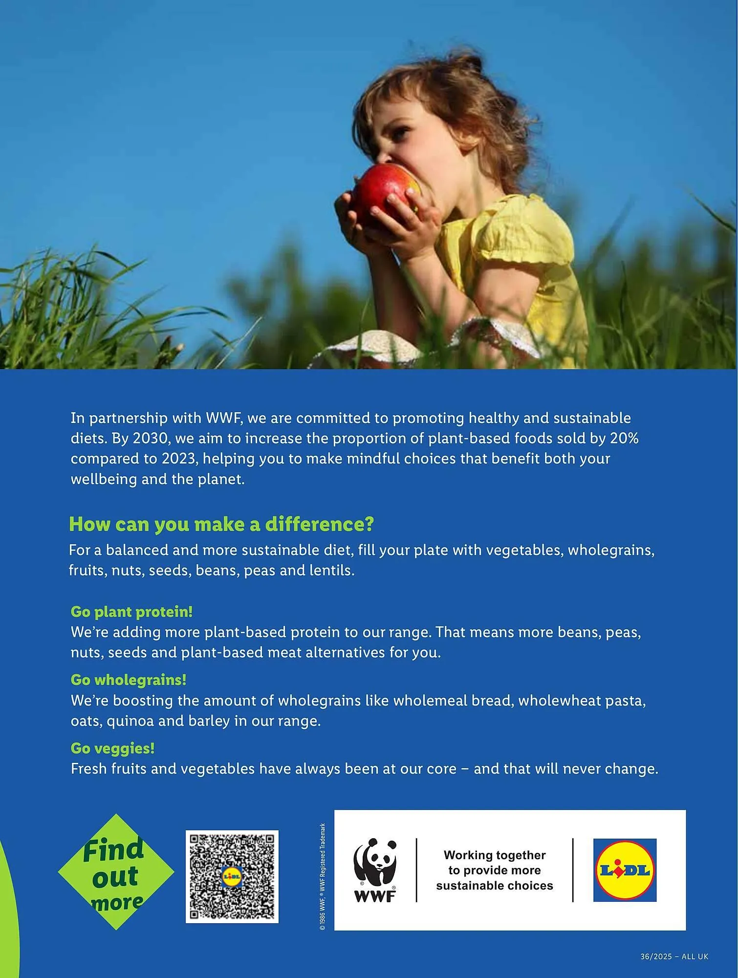 Lidl leaflet from 4 September to 10 September 2025 - Catalogue Page 9